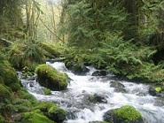 barr creek smal.jpg barr creek smal.jpg